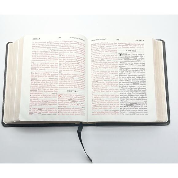Whitaker House Bible KJVER Black Leather Special Margin Large Print Red Letter - Picture 12 of 12